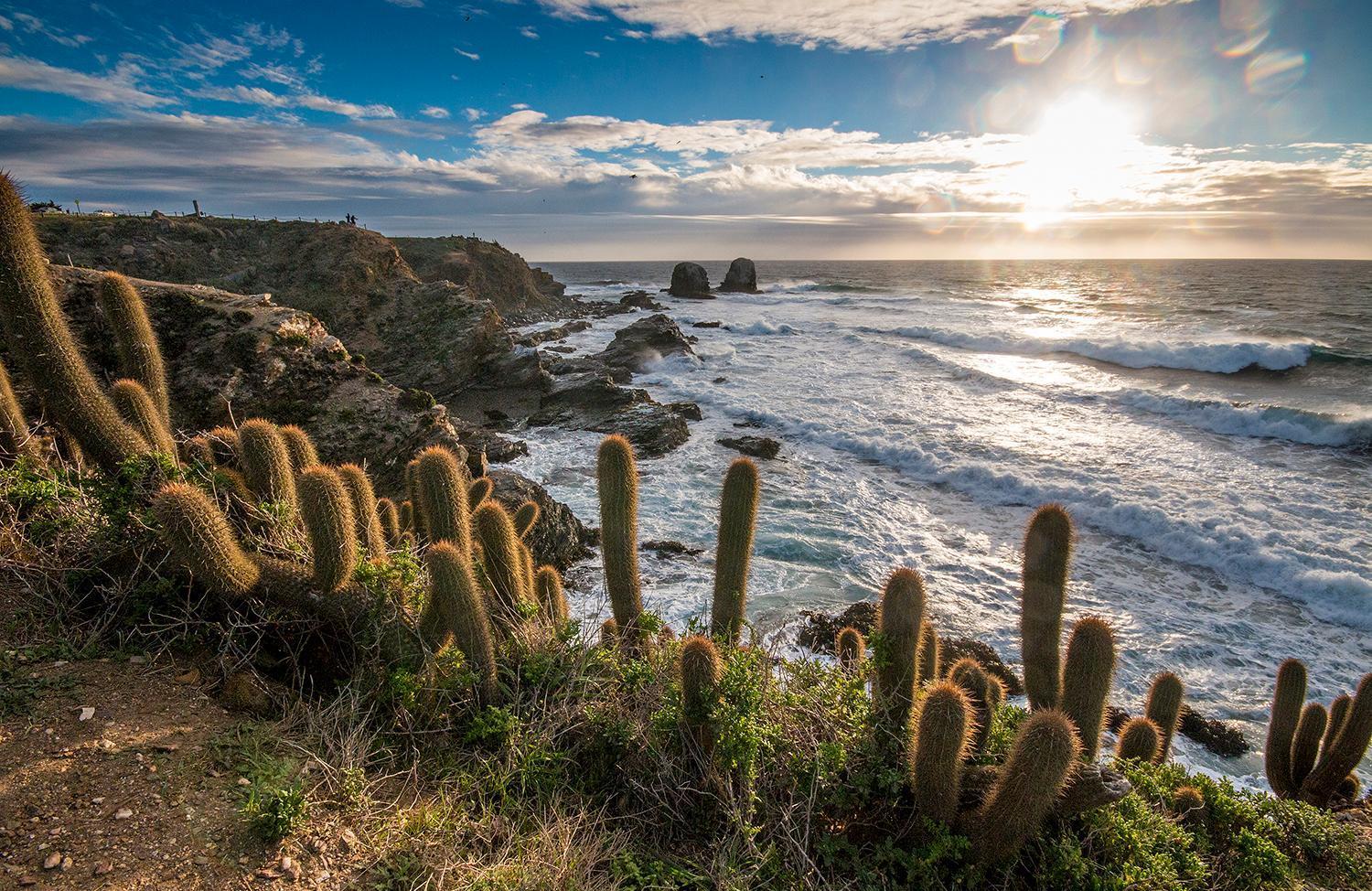 Hotel Alaia Pichilemu Zewnętrze zdjęcie