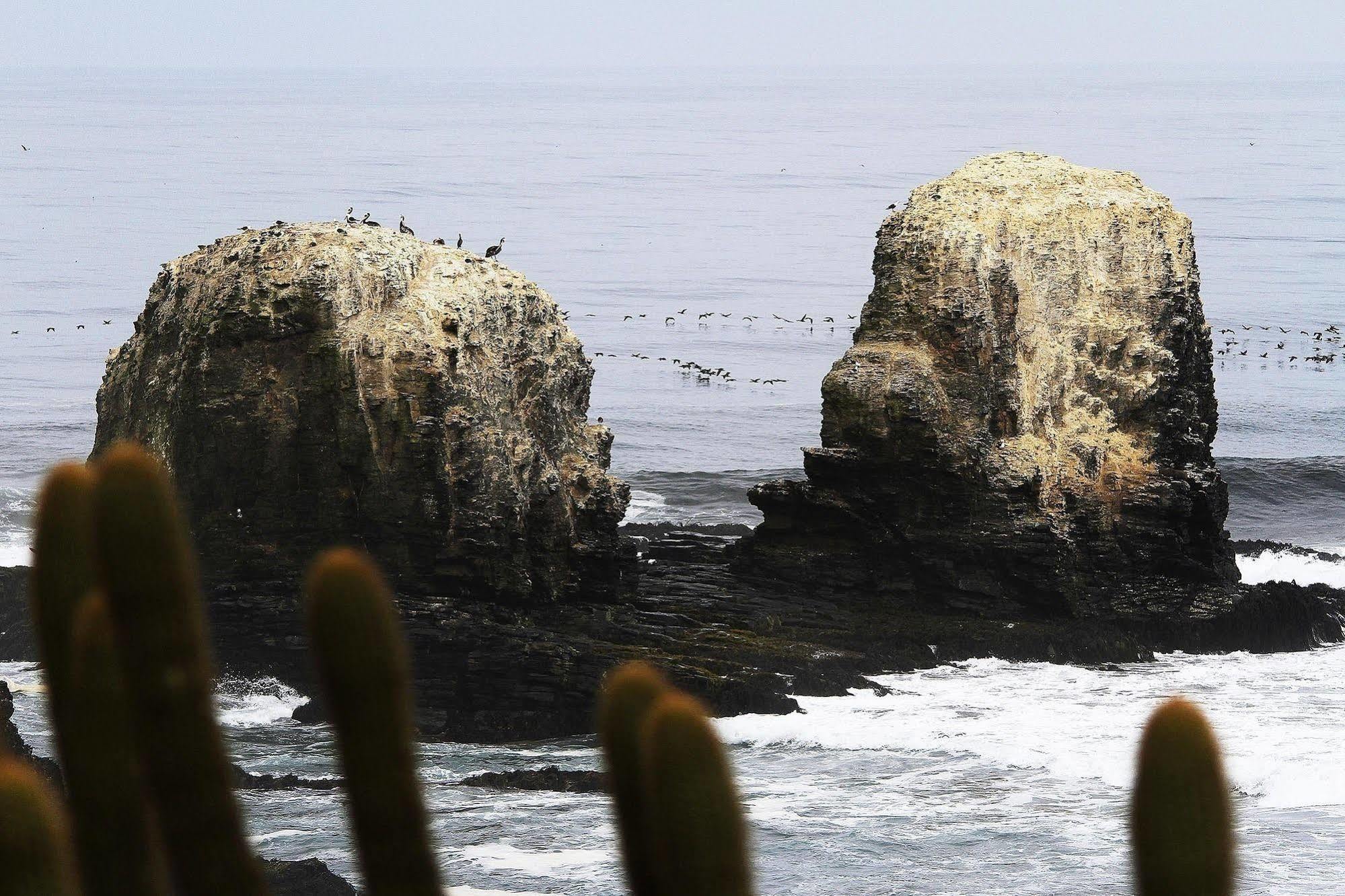 Hotel Alaia Pichilemu Zewnętrze zdjęcie